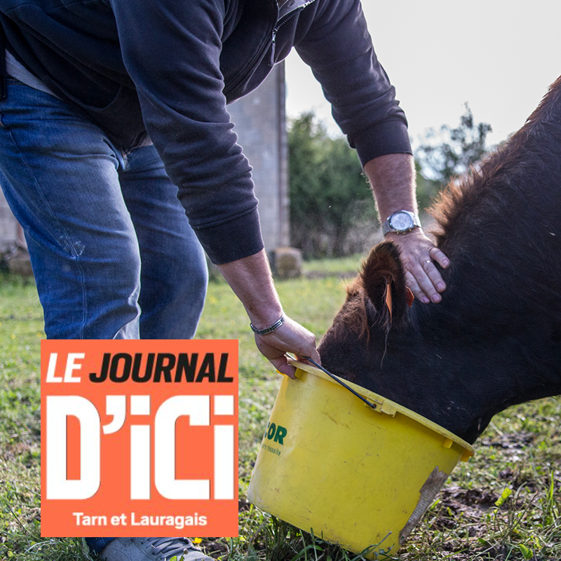 Le Journal d’Ici