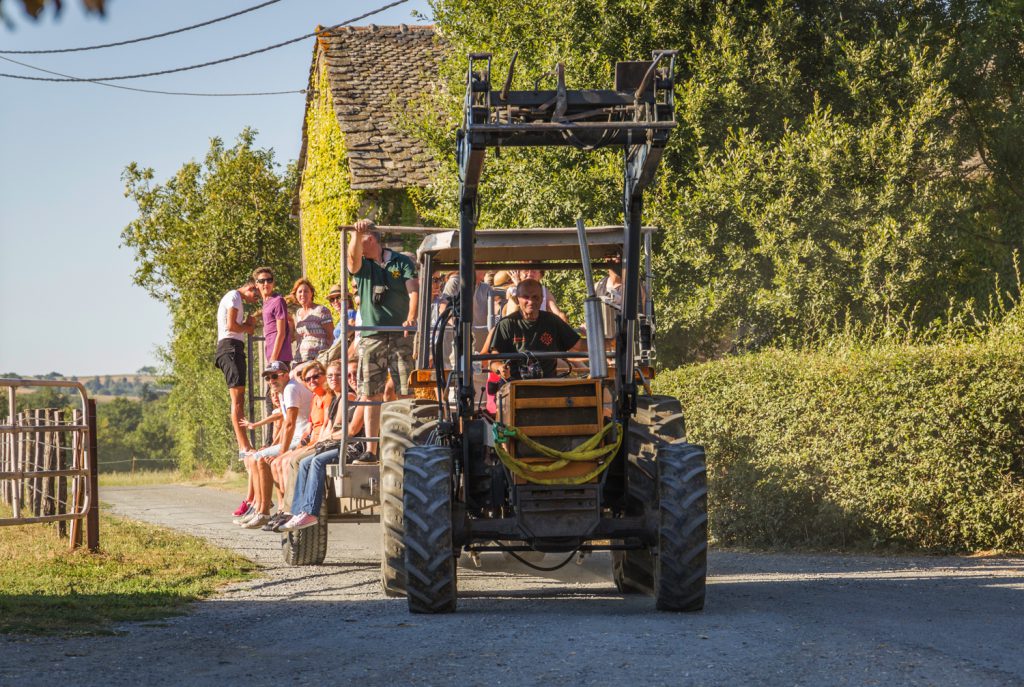 Ferme-Peyrouse©CDTTarn-PascaleWalter-18